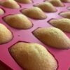 Madeleine